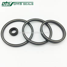 Energized PTFE Spring Seals